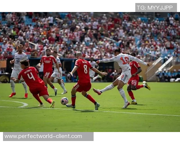 英超激战：拜仁与本菲卡平局绝杀瞬间引发全场狂欢点评